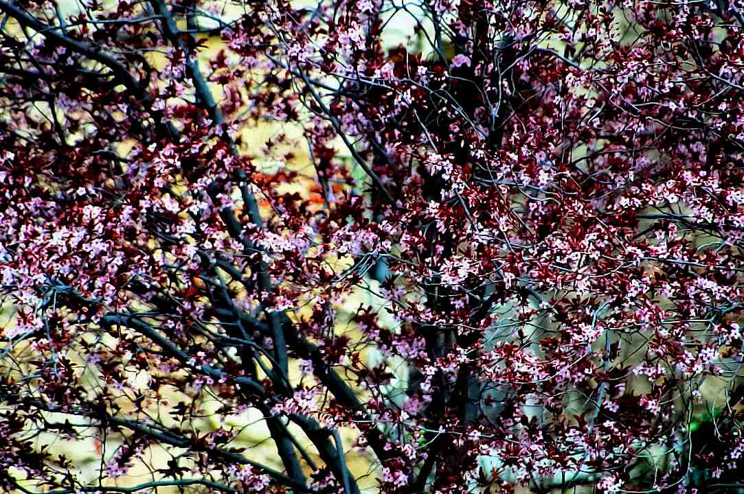 Foto de Cuenca (Castilla La Mancha), España