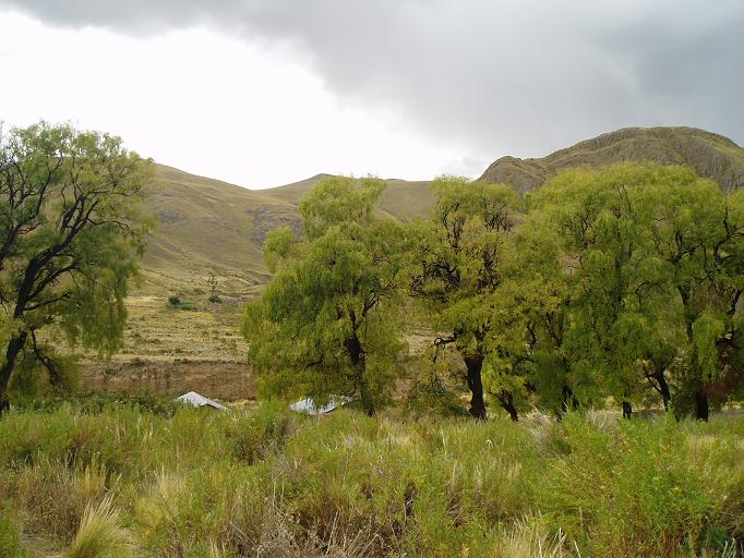Foto de Oruro, Bolivia