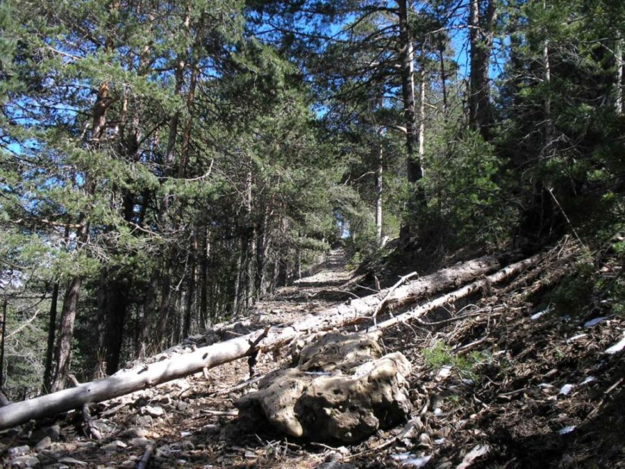 Foto de Vega del Codorno (Cuenca), España