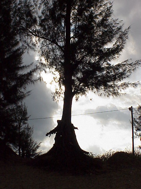 Foto de Maputo, Mozambique