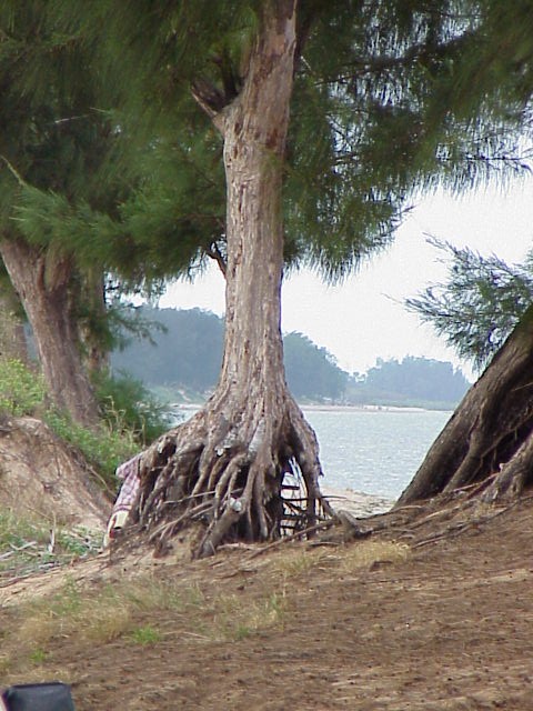 Foto de Maputo, Mozambique
