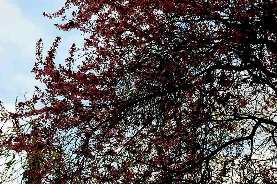Foto de Cuenca (Castilla La Mancha), España