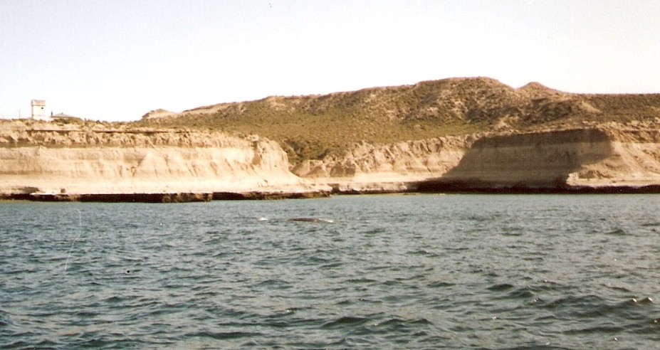 Foto de Puerto Madryn, Chubut., Argentina