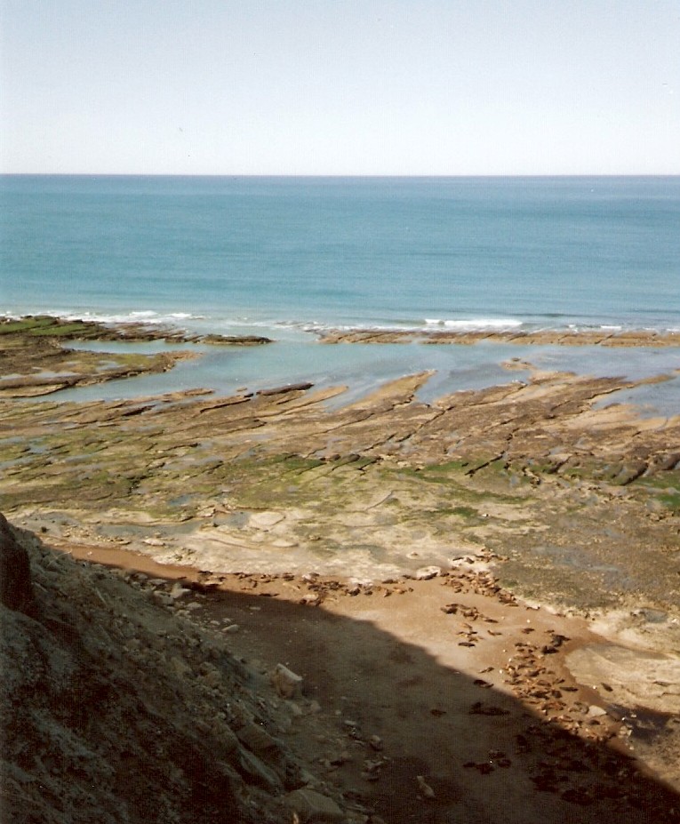 Foto de Puerto Madryn, Chubut., Argentina