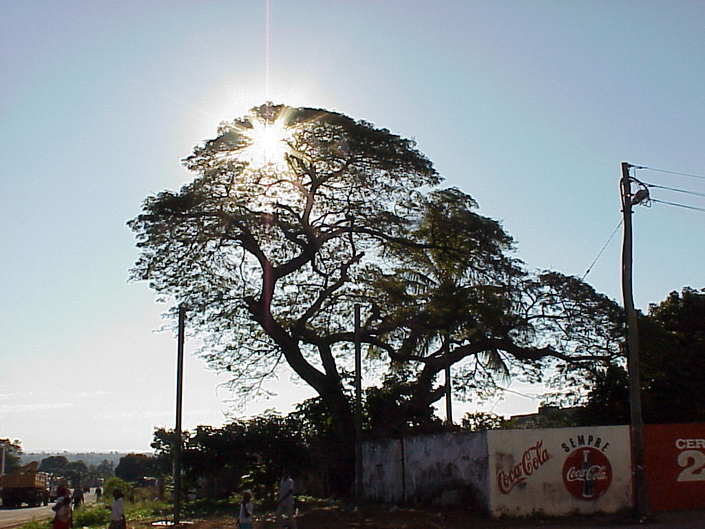 Foto de Maputo, Mozambique