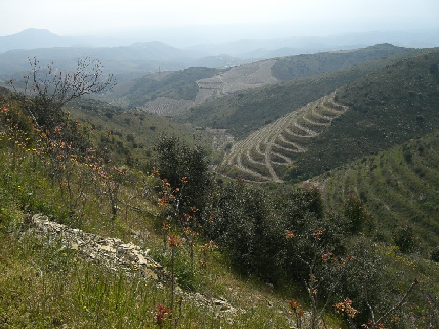 Foto de Vila Nova de Foz Côa, Portugal