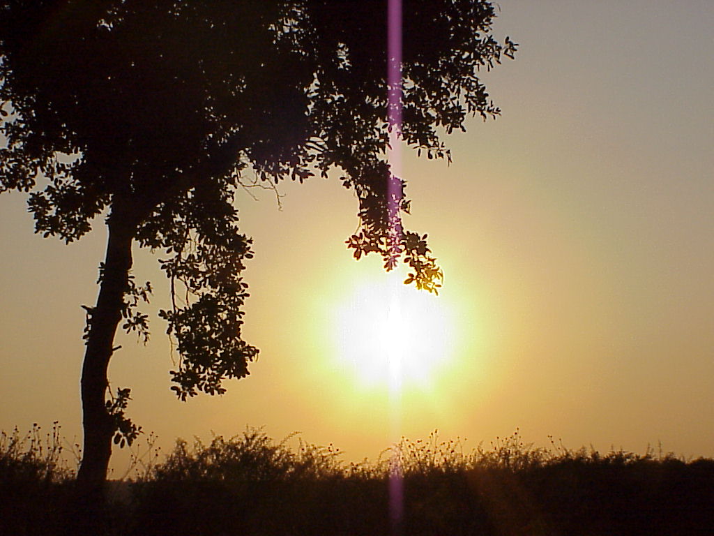 Foto de Maputo, Mozambique