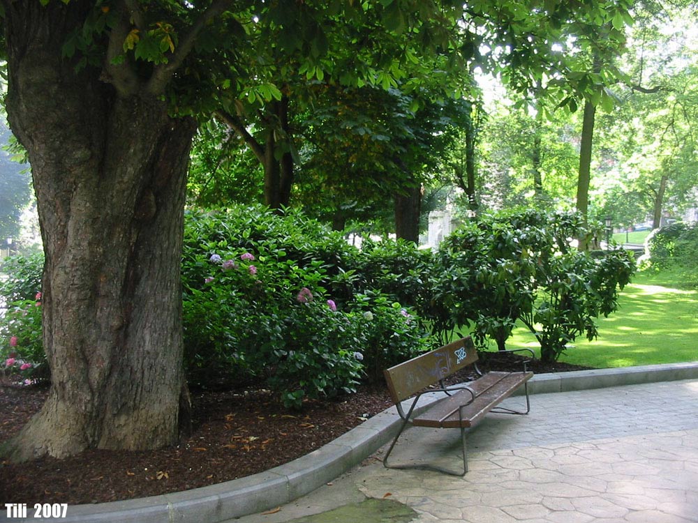 Foto de Oviedo (Asturias), España