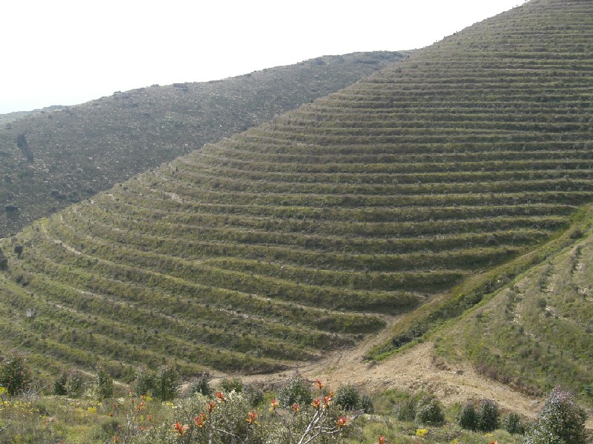 Foto de Vila Nova de Foz Côa, Portugal