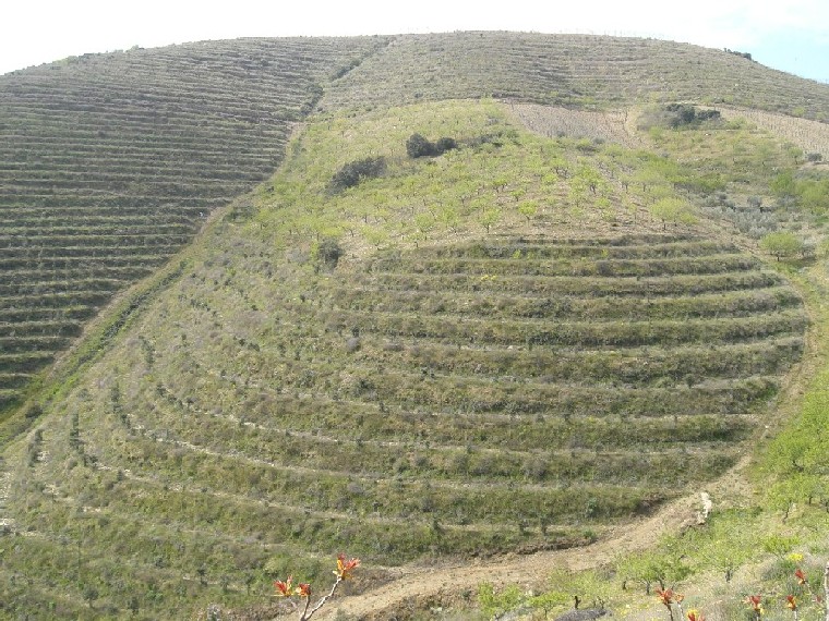 Foto de Vila Nova de Foz Côa, Portugal