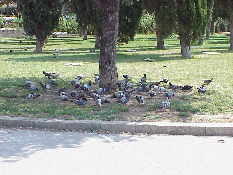 Foto de Barcelona (Cataluña), España