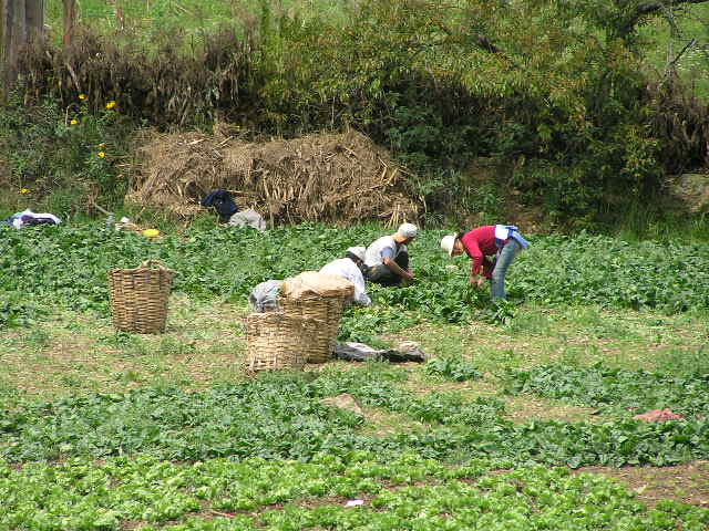 Foto de Tarma, Perú