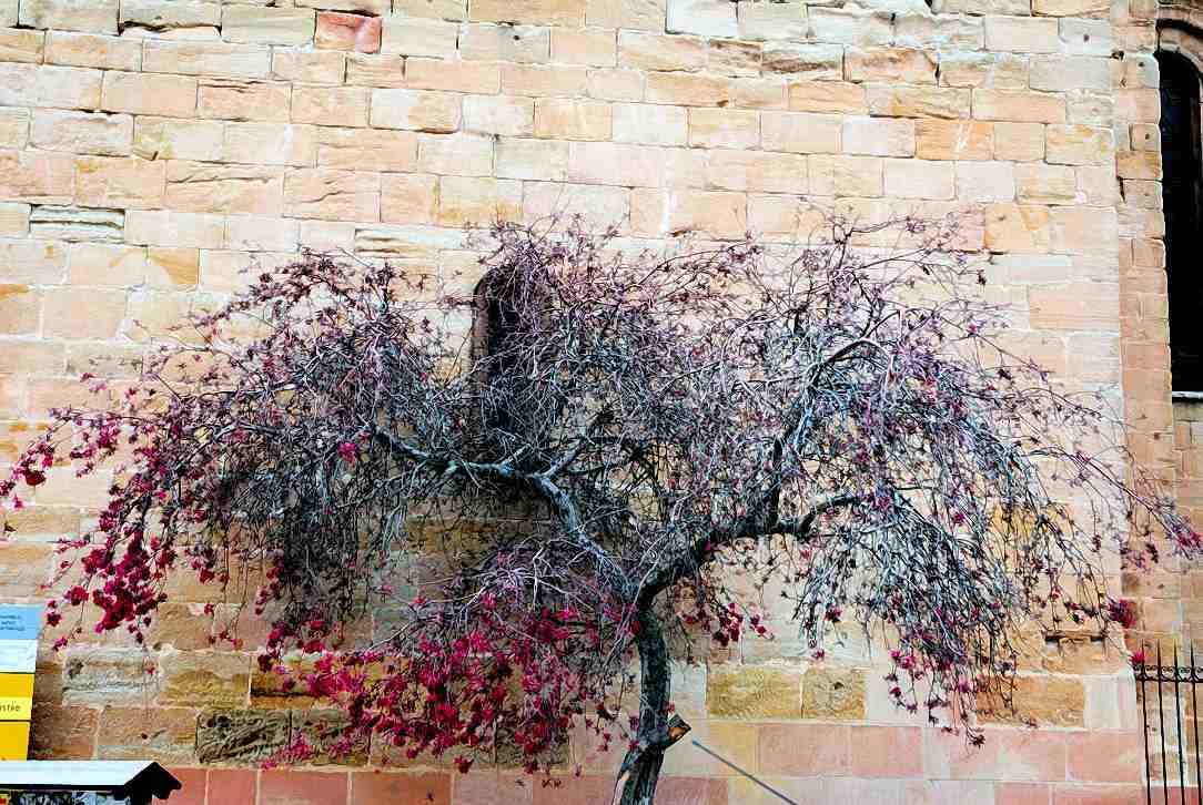 Foto de Sigüenza (Guadalajara), España