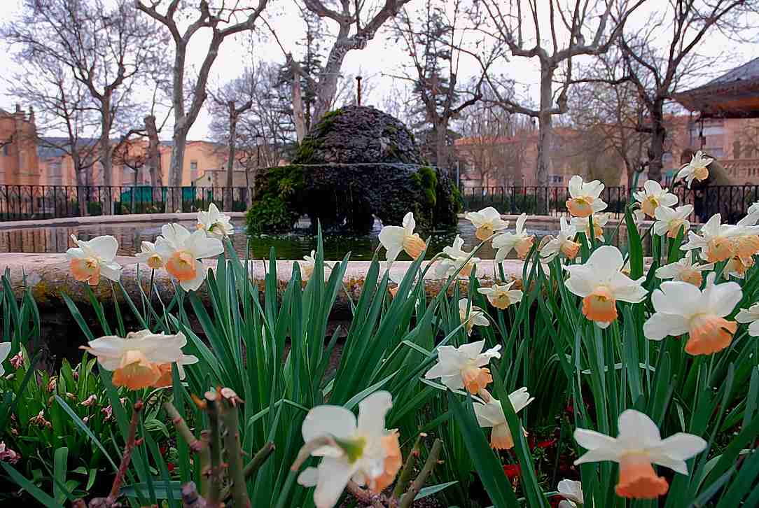 Foto de Sigüenza (Guadalajara), España