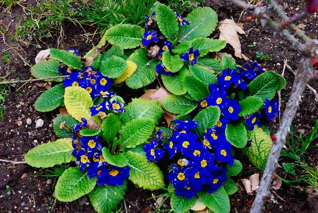 Foto de Sigüenza (Guadalajara), España