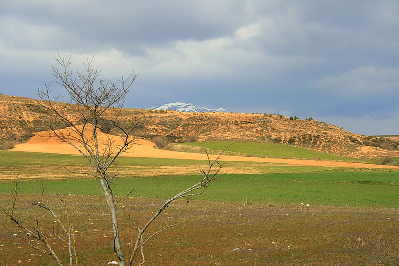 Foto de Roscales de la Peña (Palencia), España