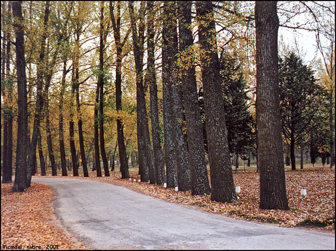 Foto de Almazán (Soria), España