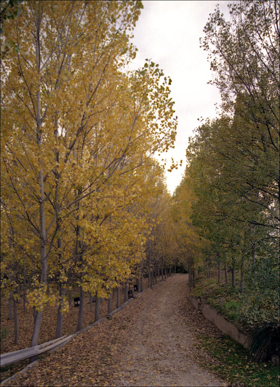 Foto de Arcos de Jalón (Soria), España