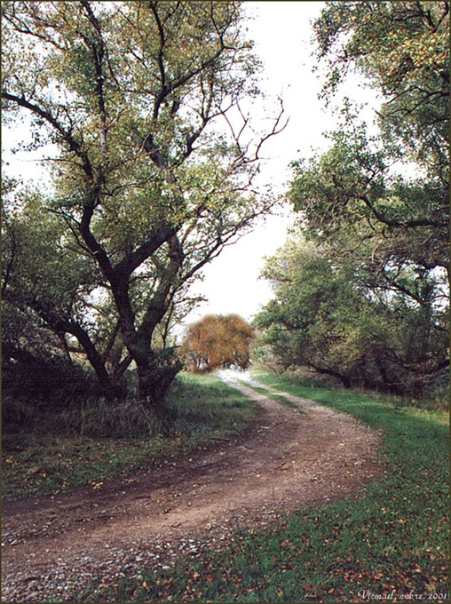 Foto de Cartuja Baja (Zaragoza), España