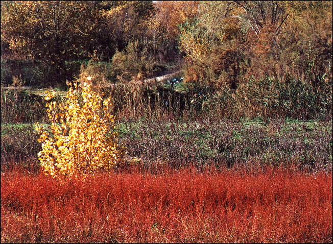 Foto de Pastriz (Zaragoza), España
