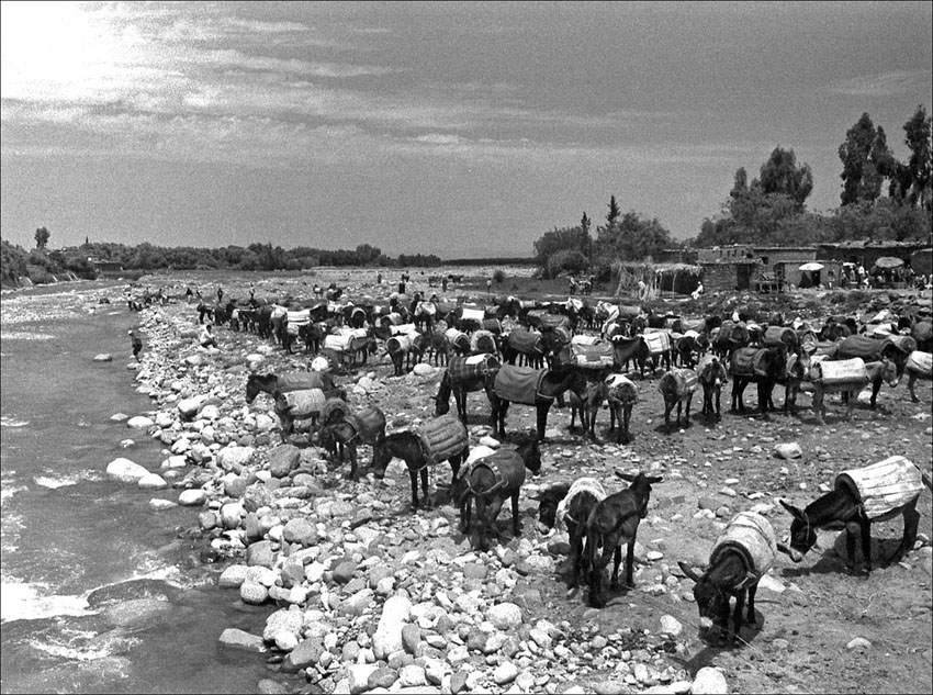 Foto de Marrakech, Marruecos