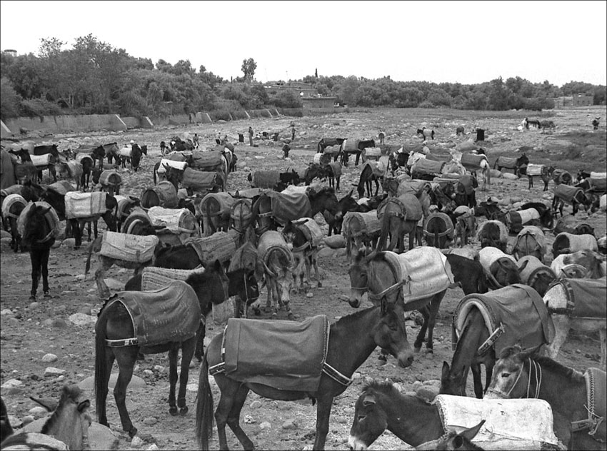 Foto de Marrakech, Marruecos