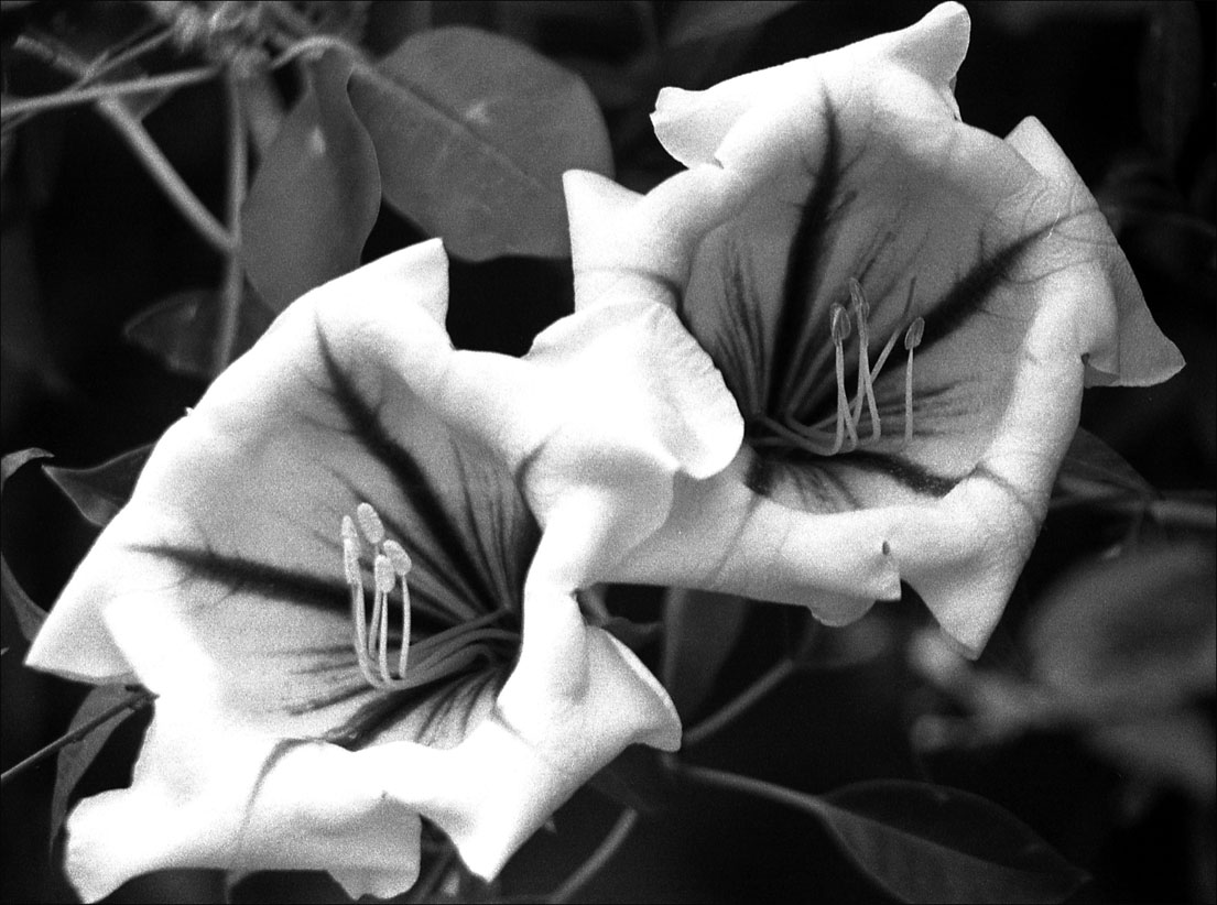 Foto de Marrakech, Marruecos