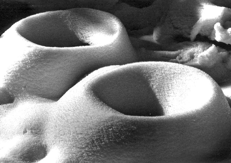 Foto de Alconchel de Ariza (Zaragoza), España