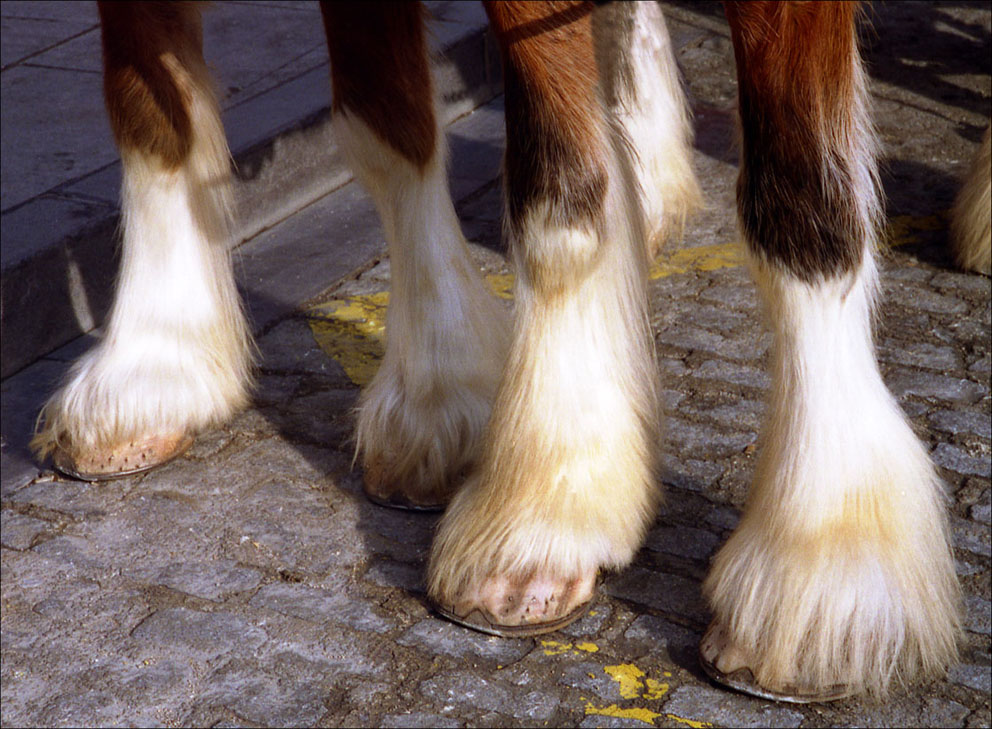 Foto de Zaragoza (Aragón), España