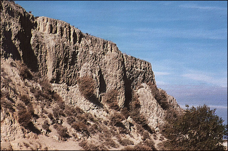 Foto de Cartuja Baja (Zaragoza), España