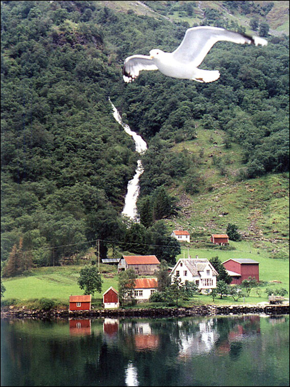 Foto de Sognefjord, Noruega