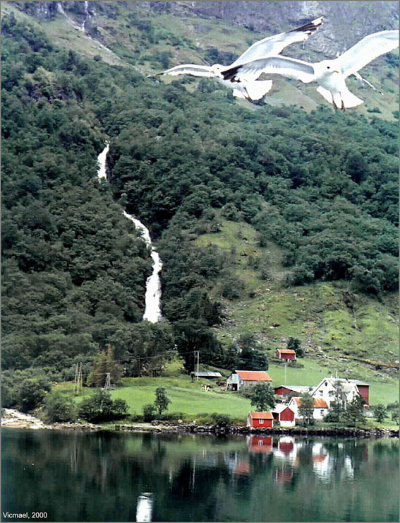 Foto de Sognefjord, Noruega