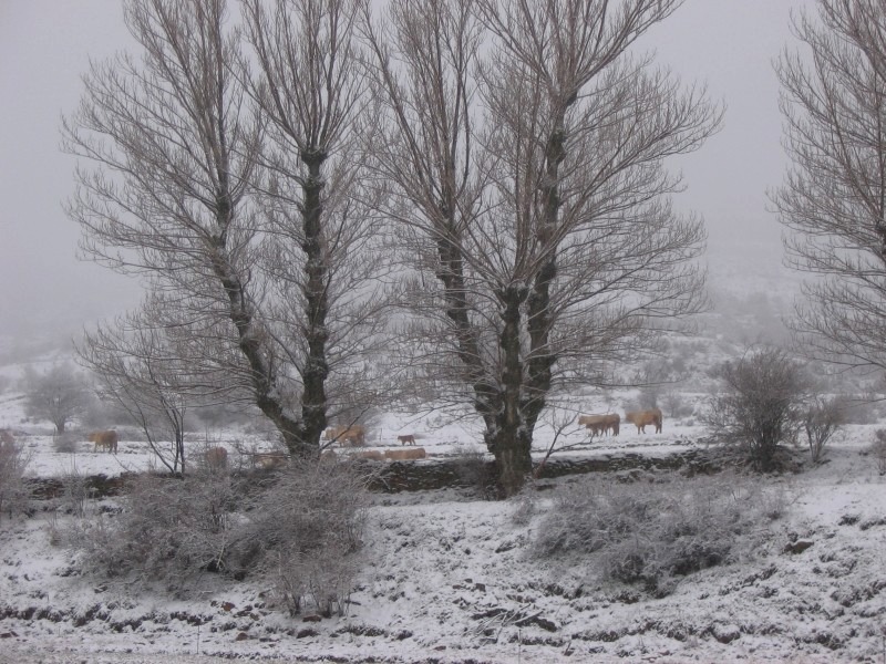 Foto de Cantavieja (Teruel), España