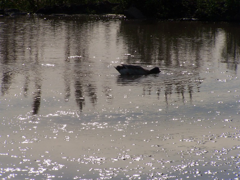 Foto de Buenos Aires, Argentina