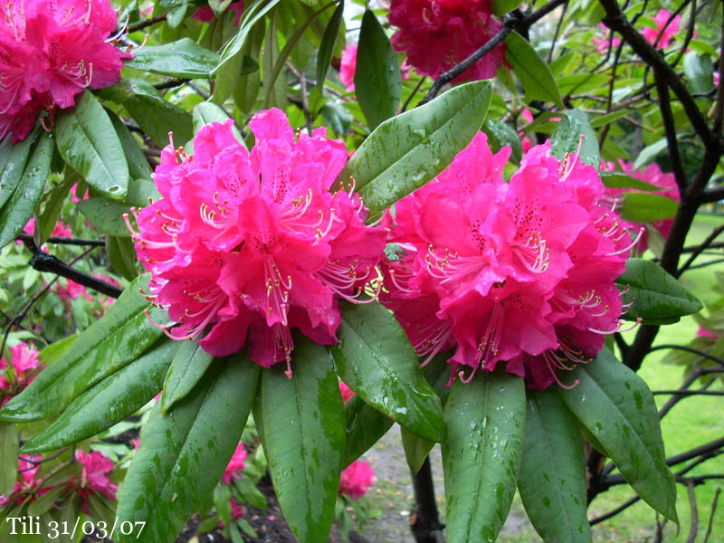 Foto de Oviedo (Asturias), España