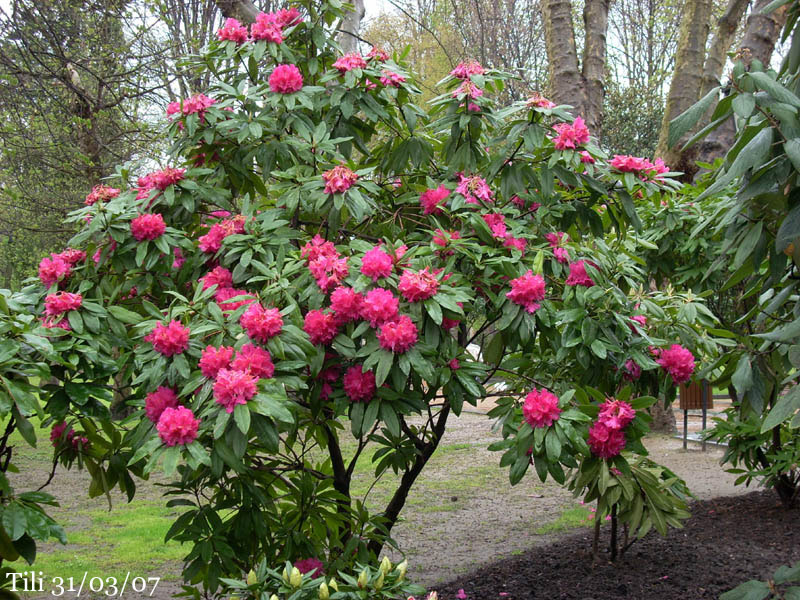 Foto de Oviedo (Asturias), España