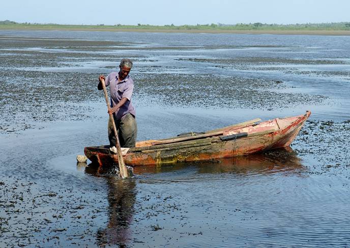Foto de El Cedro, Miches, República Dominicana