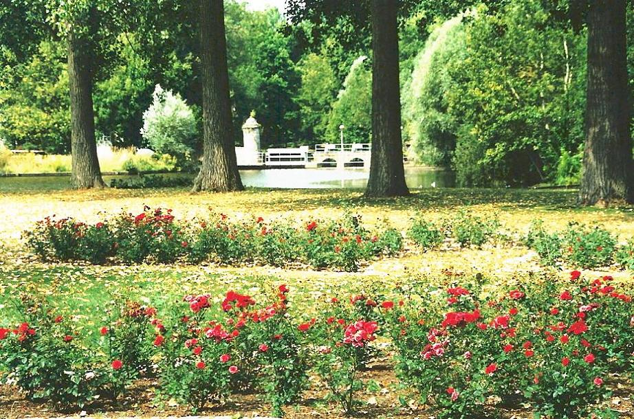 Foto de Brugge ( Brujas ), Bélgica