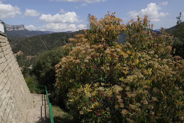 Foto de Sant Roma de Sau (Barcelona), España