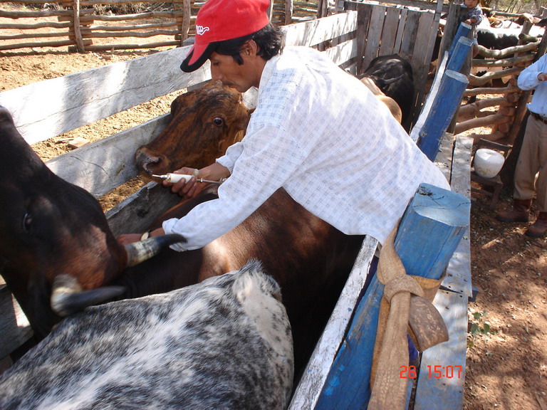 Foto de Camiri, Bolivia