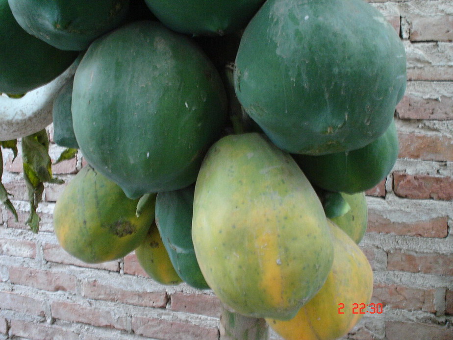 Foto de Camiri, Bolivia