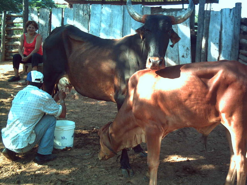 Foto de Camiri, Bolivia