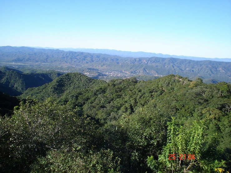 Foto de Camiri, Bolivia