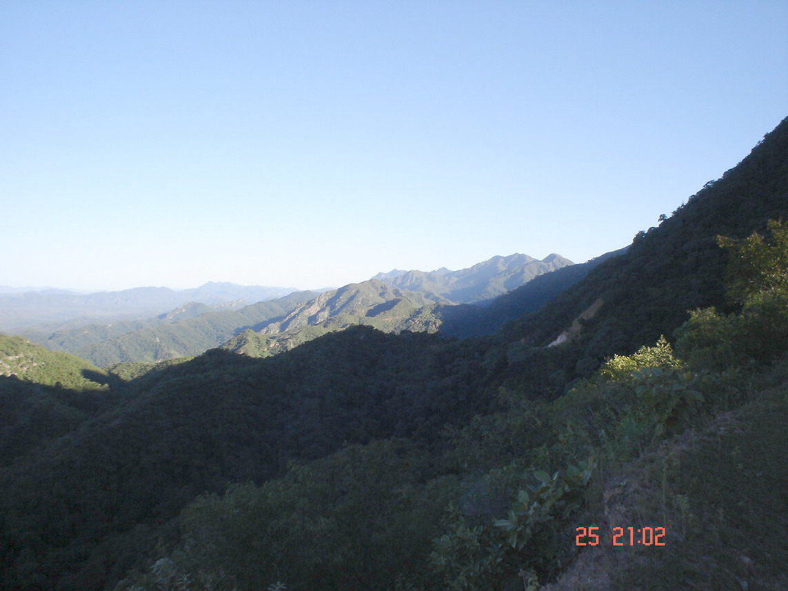Foto de Camiri, Bolivia