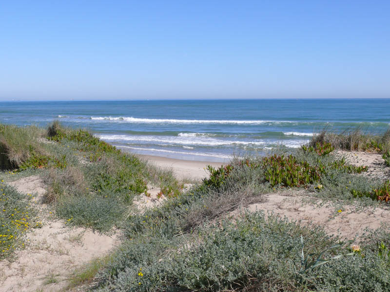 Foto de Sueca (València), España
