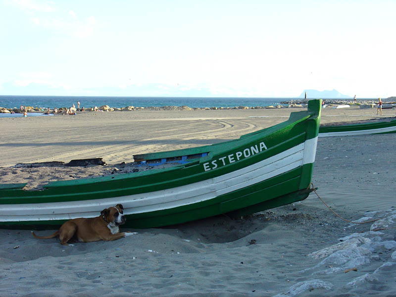 Foto de Estepona (Málaga), España