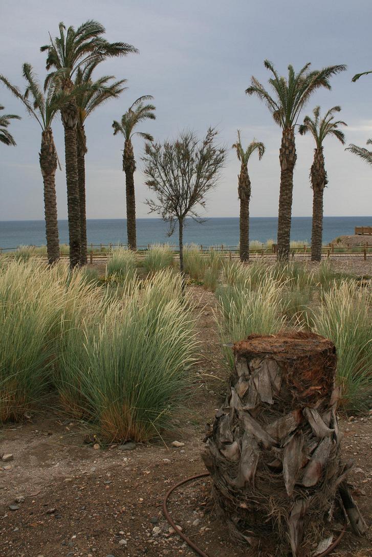 Foto de El Toyo (Almería), España