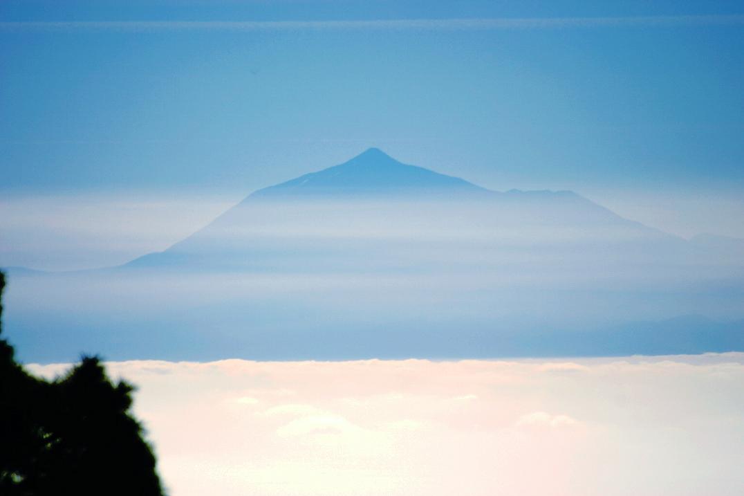 Foto de Santa Cruz de Tenerife (Canarias), España