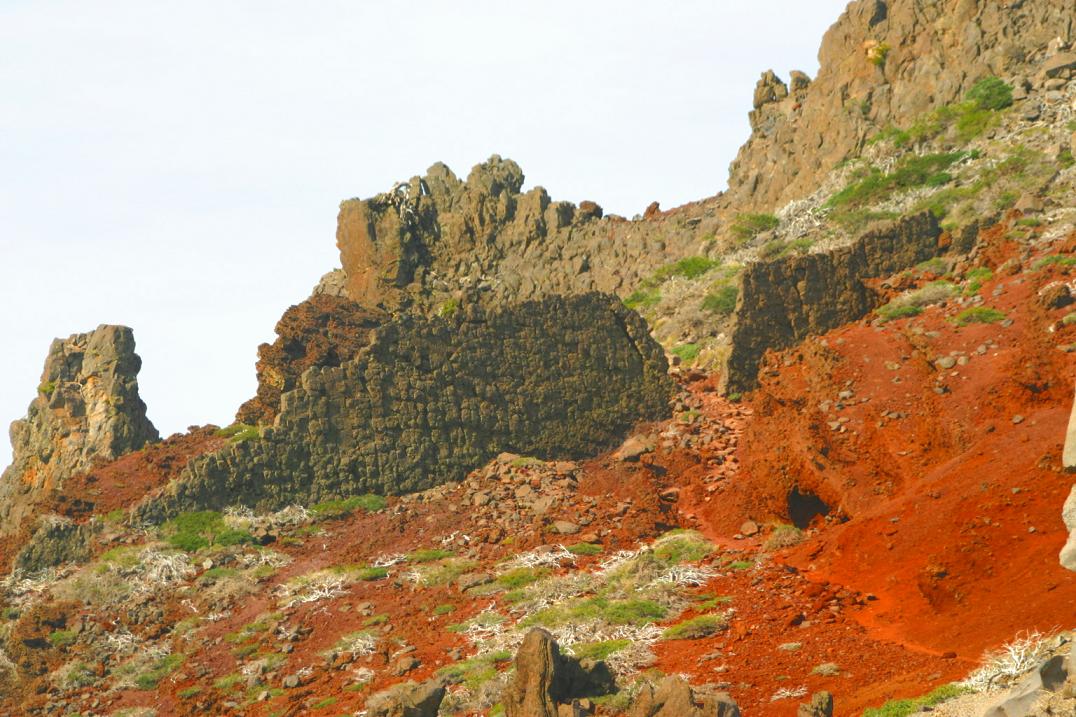 Foto de La Palma (Santa Cruz de Tenerife), España