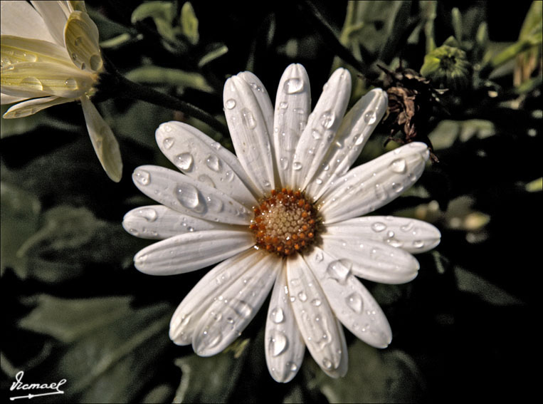 Foto de Garraf (Barcelona), España